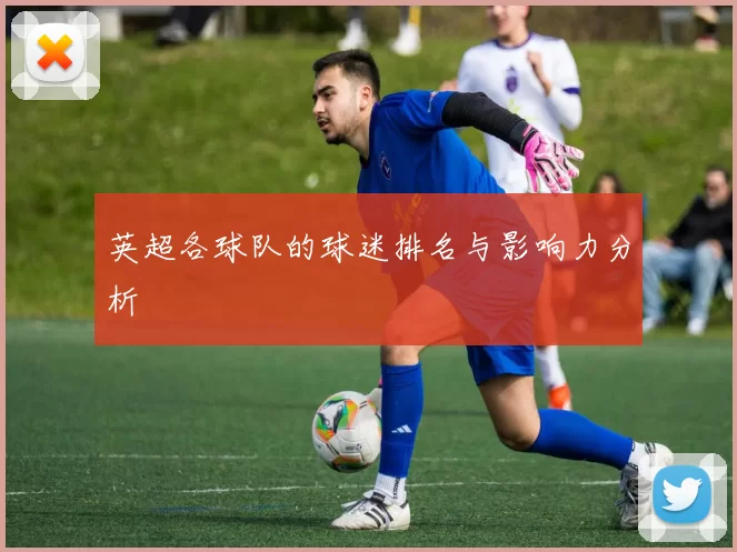 英超各球队的球迷排名与影响力分析