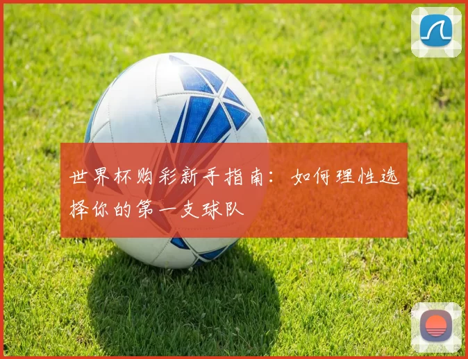 世界杯购彩新手指南：如何理性选择你的第一支球队