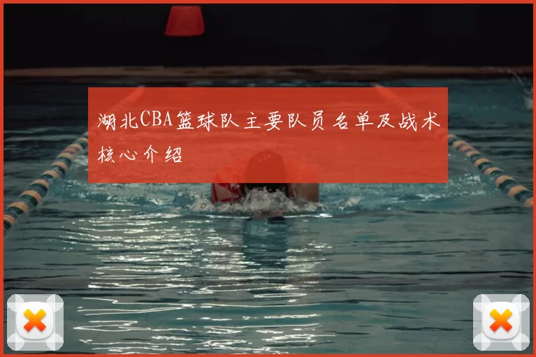 湖北CBA篮球队主要队员名单及战术核心介绍