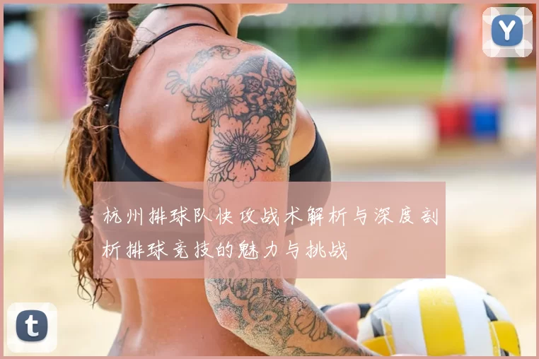 杭州排球队快攻战术解析与深度剖析排球竞技的魅力与挑战