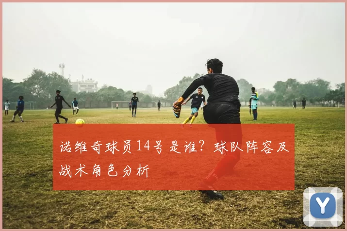 诺维奇球员14号是谁？球队阵容及战术角色分析
