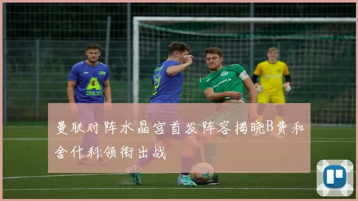曼联对阵水晶宫首发阵容揭晓B费和舍什科领衔出战