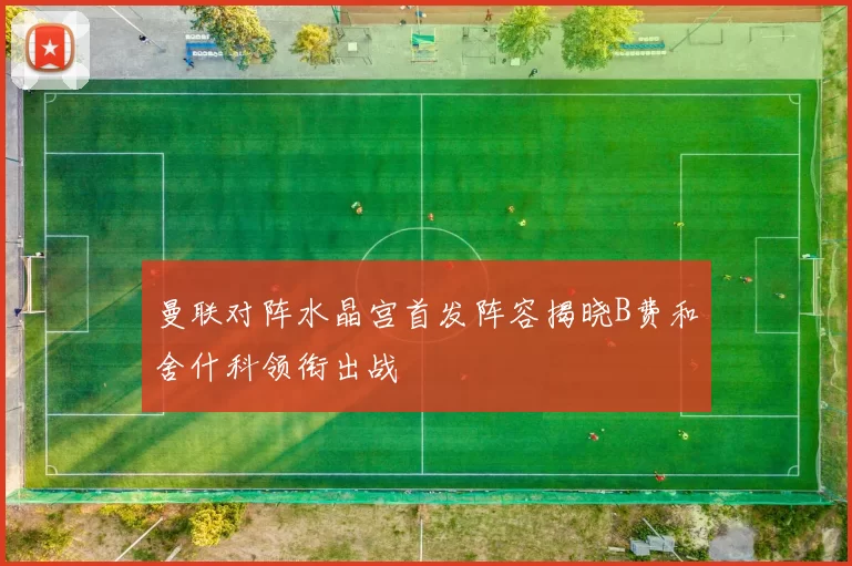 曼联对阵水晶宫首发阵容揭晓B费和舍什科领衔出战