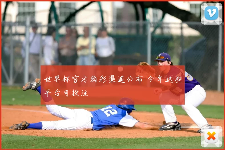 世界杯官方购彩渠道公布 今年这些平台可投注