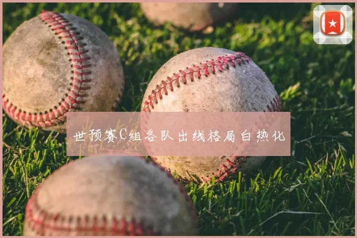世预赛C组各队出线格局白热化