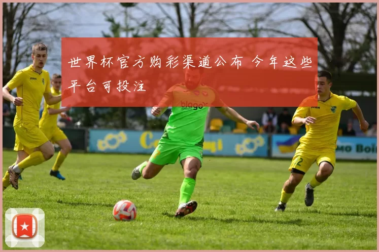 世界杯官方购彩渠道公布 今年这些平台可投注