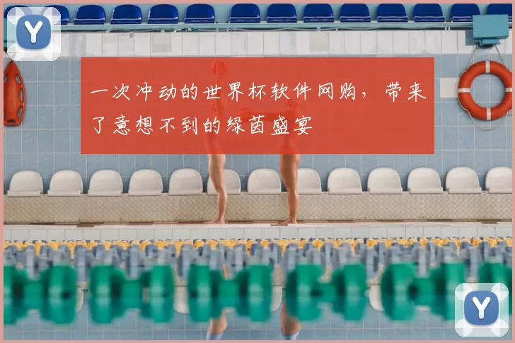 一次冲动的世界杯软件网购，带来了意想不到的绿茵盛宴