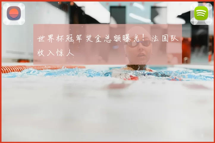 世界杯冠军奖金总额曝光!法国队收入惊人