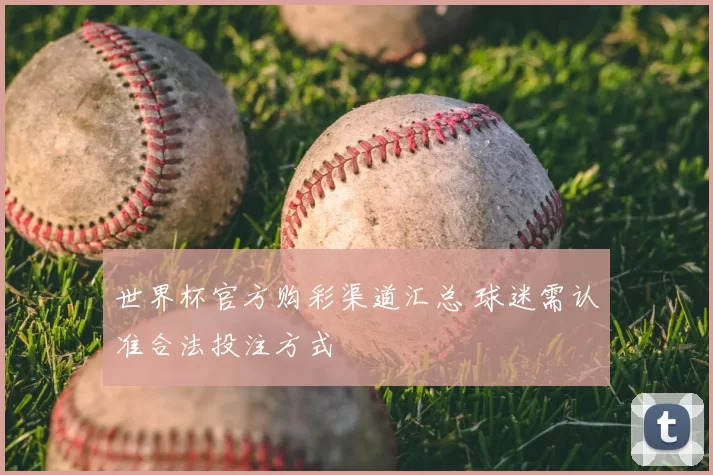 世界杯官方购彩渠道汇总 球迷需认准合法投注方式
