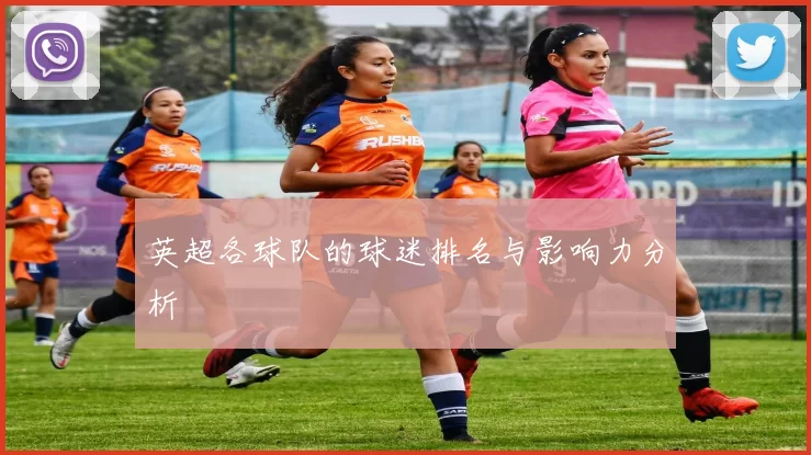 英超各球队的球迷排名与影响力分析