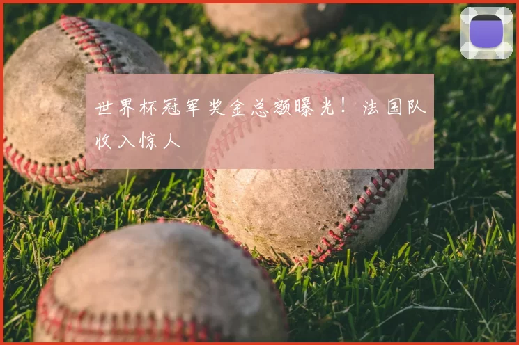 世界杯冠军奖金总额曝光!法国队收入惊人