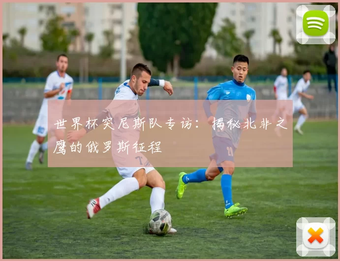 世界杯突尼斯队专访:揭秘北非之鹰的俄罗斯征程