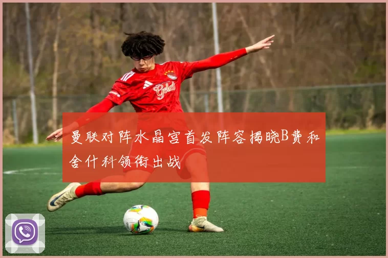曼联对阵水晶宫首发阵容揭晓B费和舍什科领衔出战