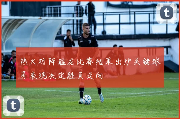 热火对阵猛龙比赛结果出炉关键球员表现决定胜负走向