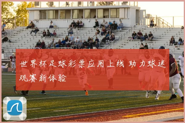 世界杯足球彩票应用上线 助力球迷观赛新体验