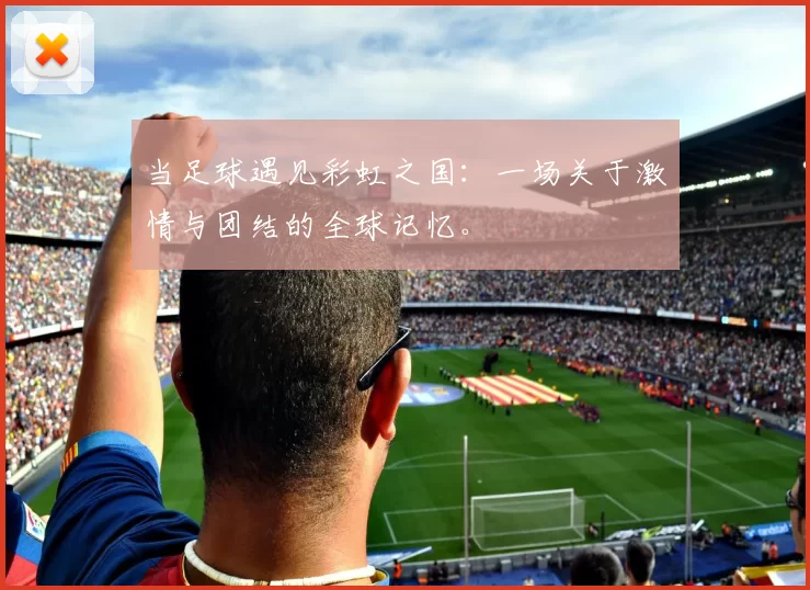 当足球遇见彩虹之国:一场关于激情与团结的全球记忆。