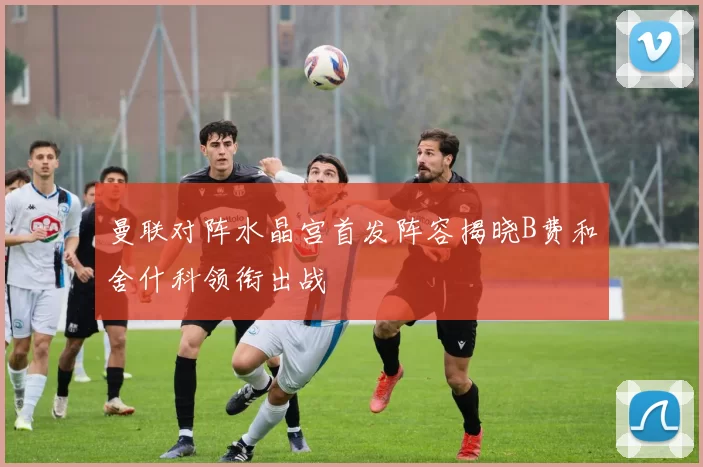 曼联对阵水晶宫首发阵容揭晓B费和舍什科领衔出战