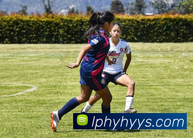 华体会app服务体系