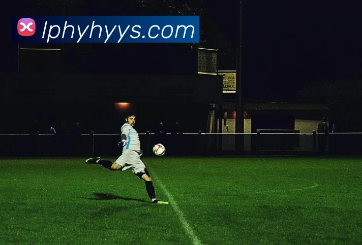 多媒体互动体验